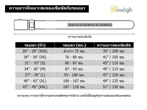 เข็มขัด size chart